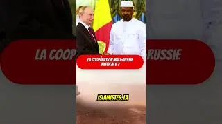 Miniature : La coopération entre le Mali et la Russie est elle un échec ?
