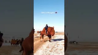 Miniature : La police la plus cool du monde ? 👮‍♂️#Mongolie #Camel #mongolia #insolite