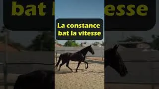 Miniature : La constance bat la vitesse #motivation #entrepreunariat