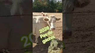 Miniature : Après l ensilage on valorise les pertes, on est en 2026! #farming