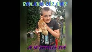 Miniature : avec les nouveaux poules🐔