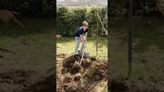 Miniature : Enzo travail dans le terrain