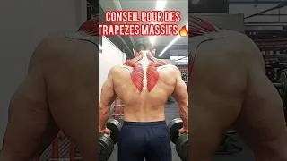 Miniature : DEVELOPPE DES TRAPEZES MASSIFS🔥 #bodybuilding #fitnesstips #musculation #shortvideo #short #gym