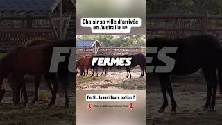 Miniature : PVT Australie 🇦🇺 : Perth est-elle la MEILLEURE ville pour commencer ?