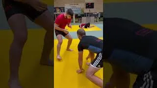 Miniature : Nouvelle section OldDog Team. Training Julien & Mathieu … Val de Moder…