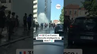 Miniature : 🚨 39°C dehors… alors ils ont trouvé leur propre piscine géante. 💦