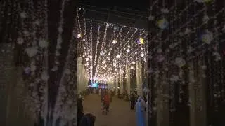 Miniature : مهرجان الوثبة 2019