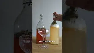 Miniature : Apprends à fermenter tes boissons maison (kéfir, kombucha, élixirs)