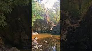 Miniature : Les Deux-Sèvres !! Cascade des Pommiers juste magnifique