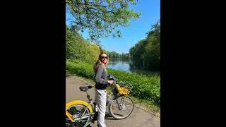 Miniature : Cultura ciclista flamenca en verano