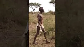 Miniature : Le corps d’Homo erectus a changé l’histoire humaine
