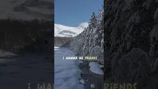 Miniature : Sur le sentier d'Isaby #shorts #randonnée #montagne #mountains #neige #pyrénées #hiking