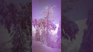 Miniature : RANDO PYRÉNÉES #shorts