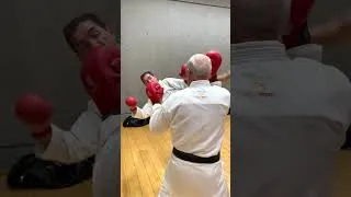 Miniature : MAK - Cours Karate - Les Halles - Mardi 17 janvier 2023 12h15-13h15