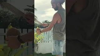 Miniature : quand tu casses ta première coco en #Guadeloupe