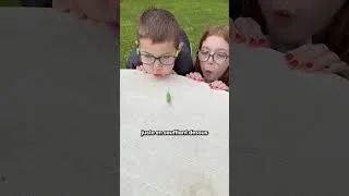 Miniature : Activité enfants : le défi ingrédients à l'aveugle 🧙‍♂️ (ils ont adoré !)