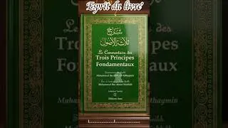 Miniature : Trois questions dans la tombe #spiritualitéislamique #allah #hadith