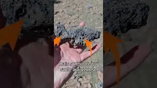 Miniature : Je découvre un fossile d'amphibien dans le désert du Karoo !
