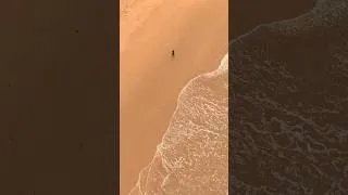 Miniature : Être seul… et bien le vivre