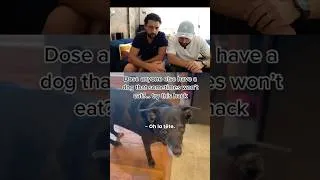 Miniature : Cette vidéo est une vraie arnaque ! 🤣 (mais on vous donne un vrai tips quand même 🤫)