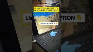 Miniature : LES MEILLEURS HEURES DE LA JOURNÉE POUR REVISER