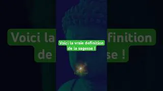 Miniature : Voici la vraie definition de la sagesse ! #senegal #motivation