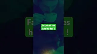 Miniature : Façonne tes habitudes ! #senegal #motivation #habitudes