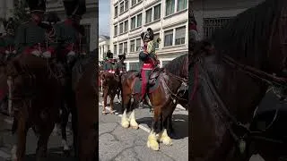 Miniature : Prise d'Armes et défilé de troupes historiques en uniformes - au coeur de Genève.