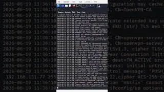 Miniature : 🚨 Astuce du jour #1 – VPN bloqué sur TryHackMe / Hack The Box ? 🔐