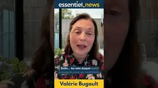 Miniature : "Nous vivons dans un théâtre d’ombre et de lumière qui se fait passer pour politique". V. Bugault