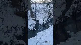 Miniature : Petite promenade dans la neige, et écouter le bruit de l'eau ❄️