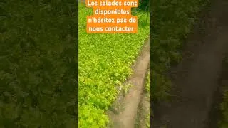 Miniature : 8 mai 2025