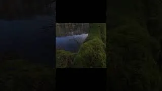 Miniature : Voici à quoi Ressemble un Dimanche parfait à la Campagne !!