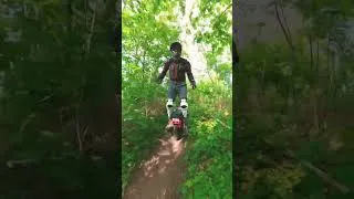Miniature : Forest trail Begode Master Grizzla set up