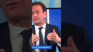 Miniature : SCPI en France : les revenus affichés vraiment in the pocket !