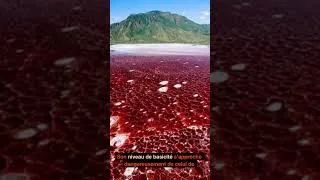 Miniature : Le Lac Natron