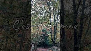 Miniature : L’automne, sa nature, sa symbolique et le Livre de la Nature