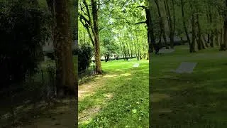 Miniature : 28 mai 2026