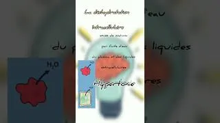 Miniature : hyponatrèmie/hypernatrèmie