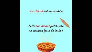 Miniature : on n’écrit pas soit-disant#apprendrelefrancais#lefrancais#french #languefrancaise#bienparlerfrançais