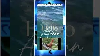 Miniature : Hello 😊Automne 👋Avec Le Coq Qui Chante Le Plus Bizarre #funny #funnyanimals #funnyvideo