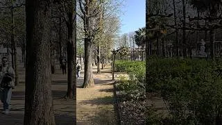 Miniature : March 2026 Jardin des Tuileries
