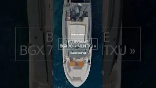 Miniature : BLUEGAME BGX70