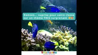 Miniature : annonce poisson