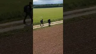 Miniature : Traverser de la France du Pas de Calais à la Haute-Savoie #shorts #trek #france