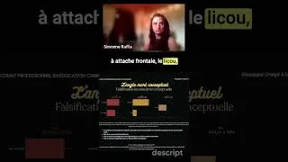 Miniature : « Je n'utilise jamais la punition avec mon chien »... vraiment?