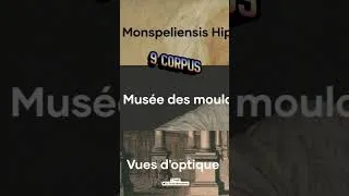 Miniature : 𝐅𝐨𝐥𝐢@ 𝐟𝐚𝐢𝐭 𝐩𝐞𝐚𝐮 𝐧𝐞𝐮𝐯𝐞 !