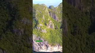 Miniature : Pourquoi partir ? 🏝️