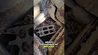 Miniature : Fissures maison et Mouvement de terrain : les causes ?!