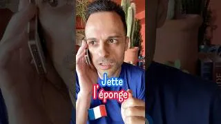 Miniature : 🇫🇷 "Jeter l'éponge"​